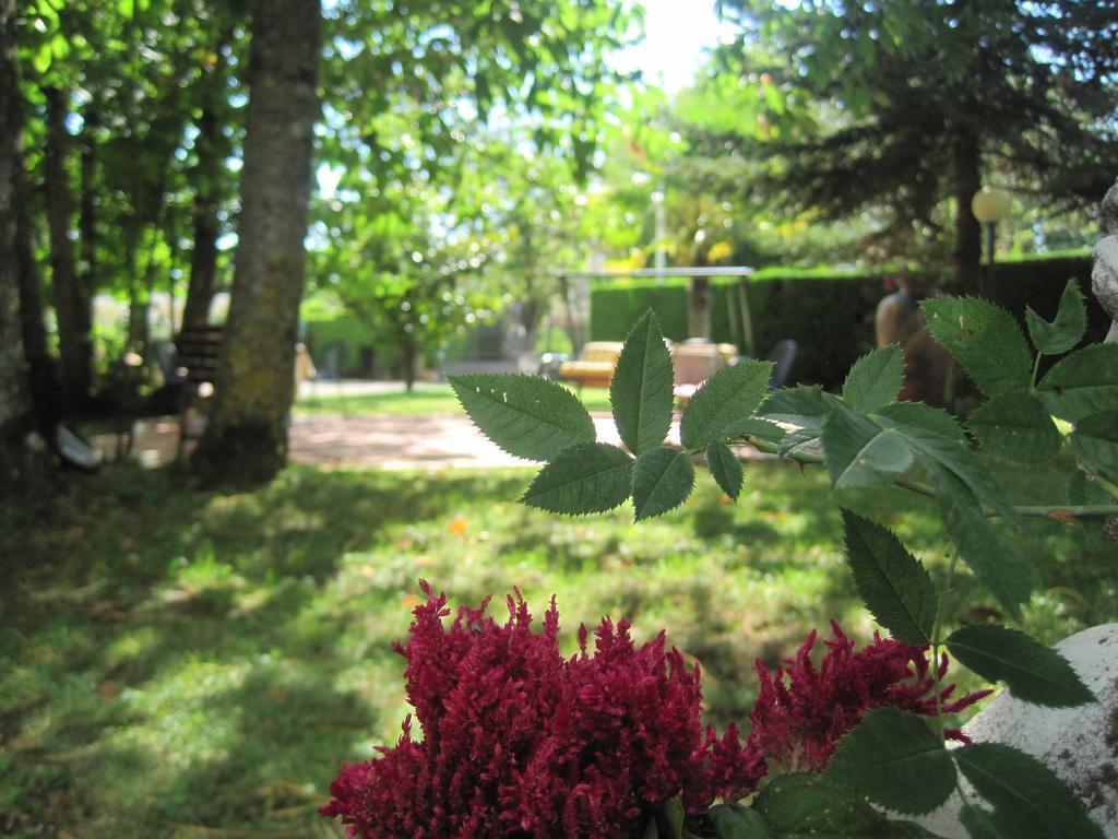 Hotel Gioia Garden Fiuggi Exterior foto
